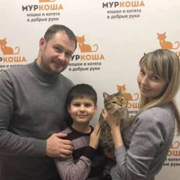 Молли
