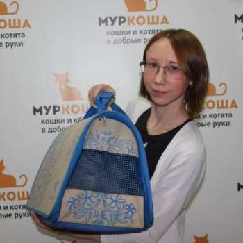 Принцесса Лея