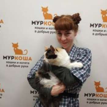 Пряничка