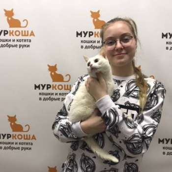 Мелочь