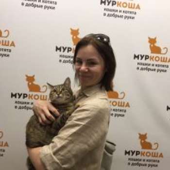 Латута