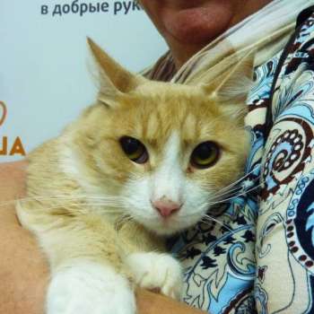 Энтони