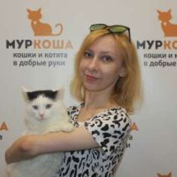 Москвич