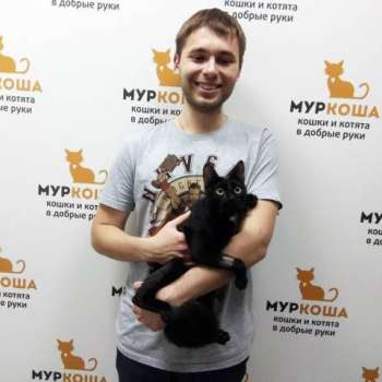 Моника