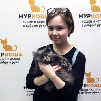 Рута