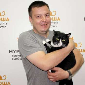 Артишок