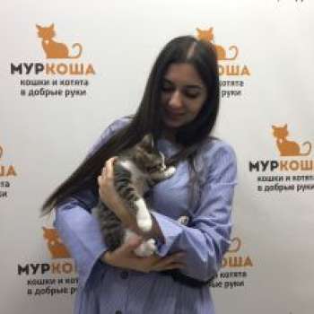 Эраст