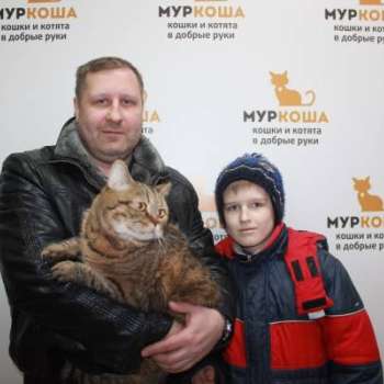 Скруджи