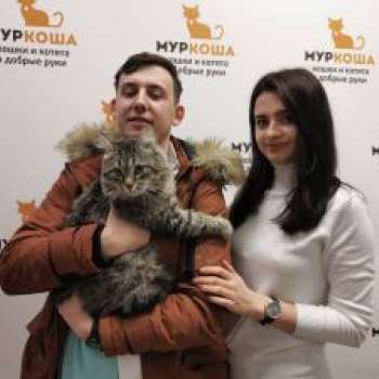 Бульон