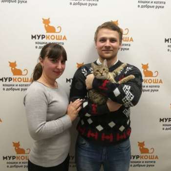 Окрошка