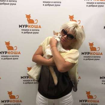 Стоун