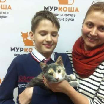 Тучка