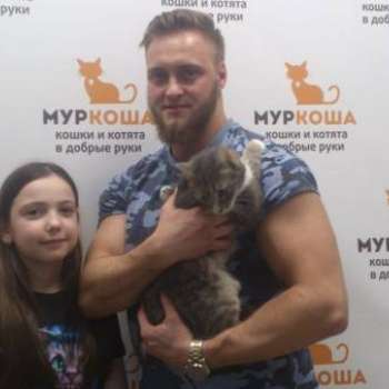 Голубика