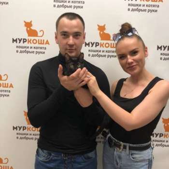 Анхель
