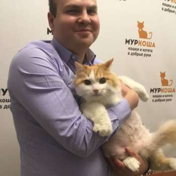 Мурзилка