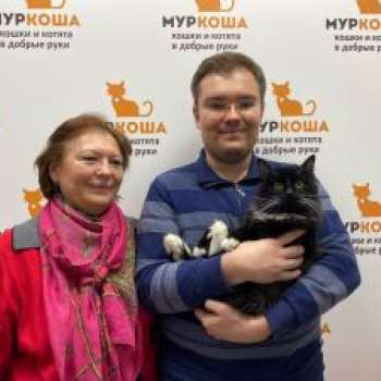 Дунай