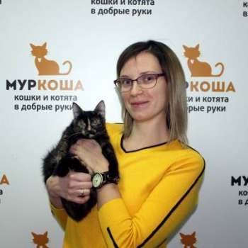 Скрепка