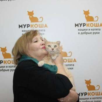 Абрикосик