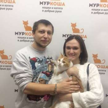 Огурчик