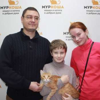 Скарлет