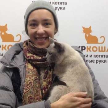 Гади