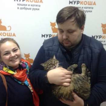 Фрости