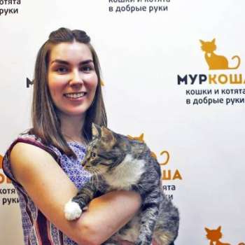 Органза