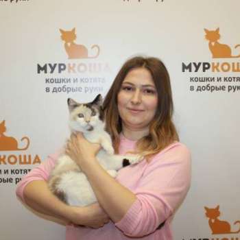 Бирма