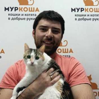 Бусинка