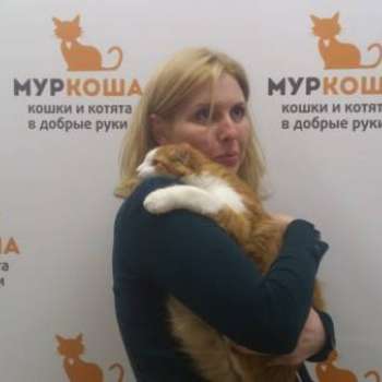 Гасс