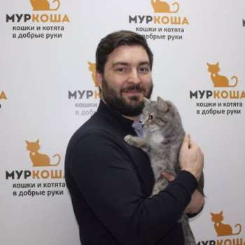 Кинза