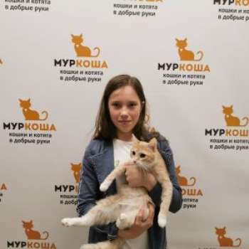 Пикачу