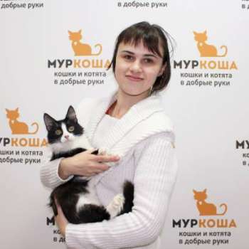 Джулиз