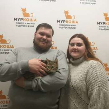 Коша