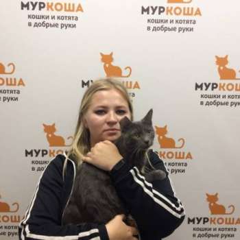 Штирлиц