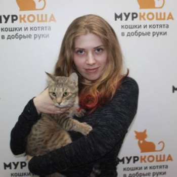 Торри