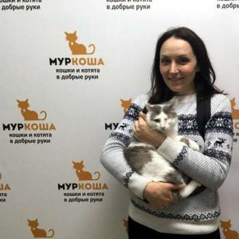 Барсик