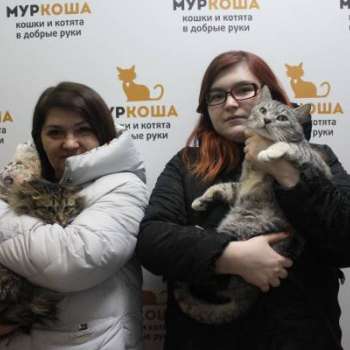 Томас