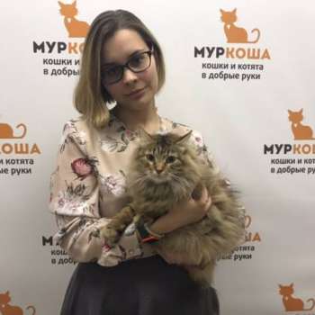 Пальма