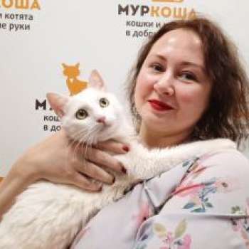 Снежинкин