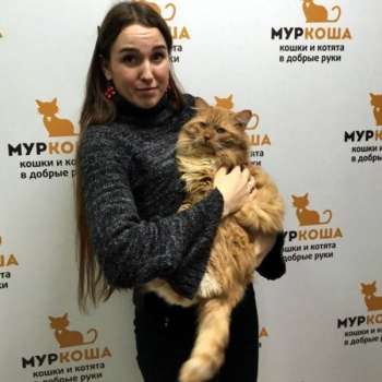 Штрудель