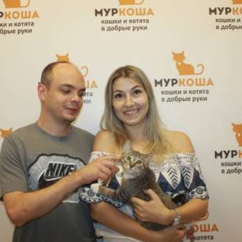 Эндорфин
