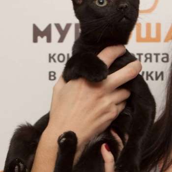 Лето