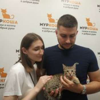 Ратмир