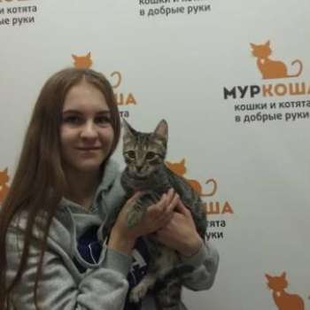 Кавальканти