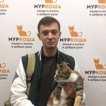 Галатея