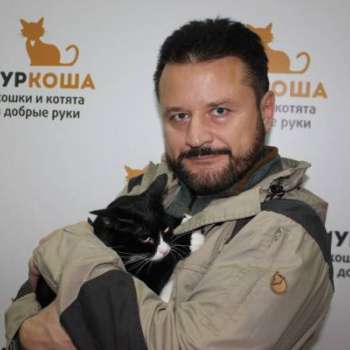 Черника