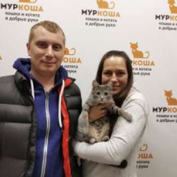 Грейли