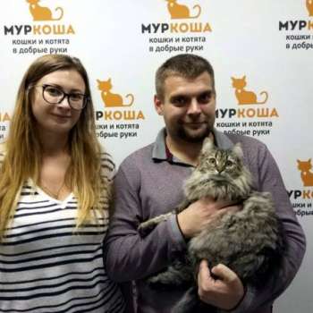 Фриса