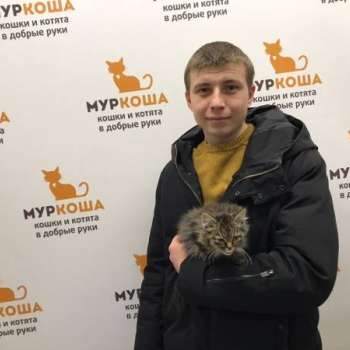 Пуля
